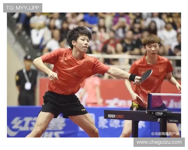 成都乒乓球队技术解析与训练策略探讨助力乒乓球发展