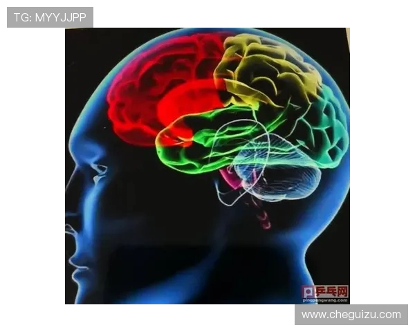 杭州乒乓球队战术解析与控制体系探讨的全面研究 杭州乒乓球队战术解析与控制体系探讨的全面研究