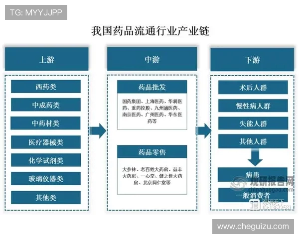 赛后分析：上海与南京排球队的团队协作与战术执行探讨