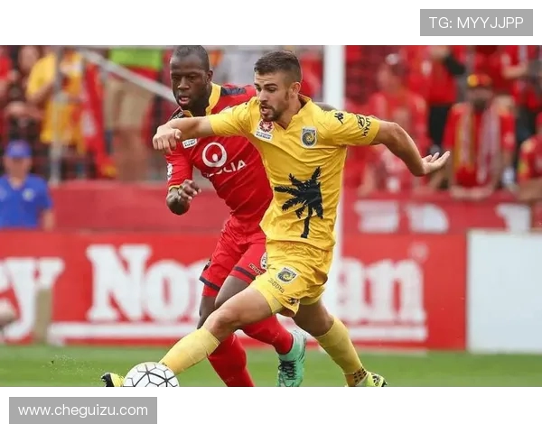 惠灵顿与布里斯班历史交锋战绩分析及近期表现对比