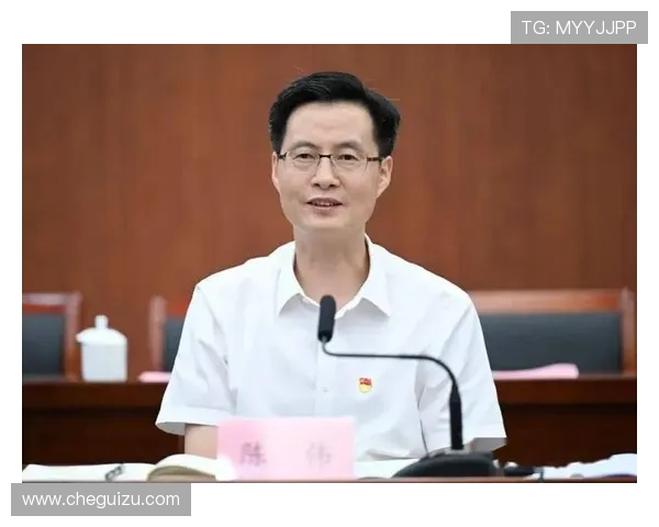 飞盘运动的崛起与发展专访陈伟揭示成功背后的秘密与经验